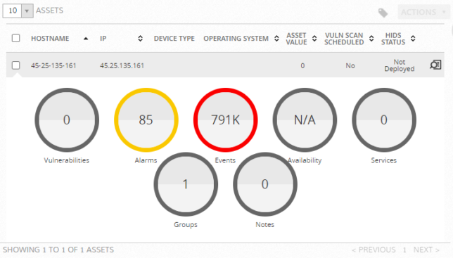 Status summary of an individual Asset.
